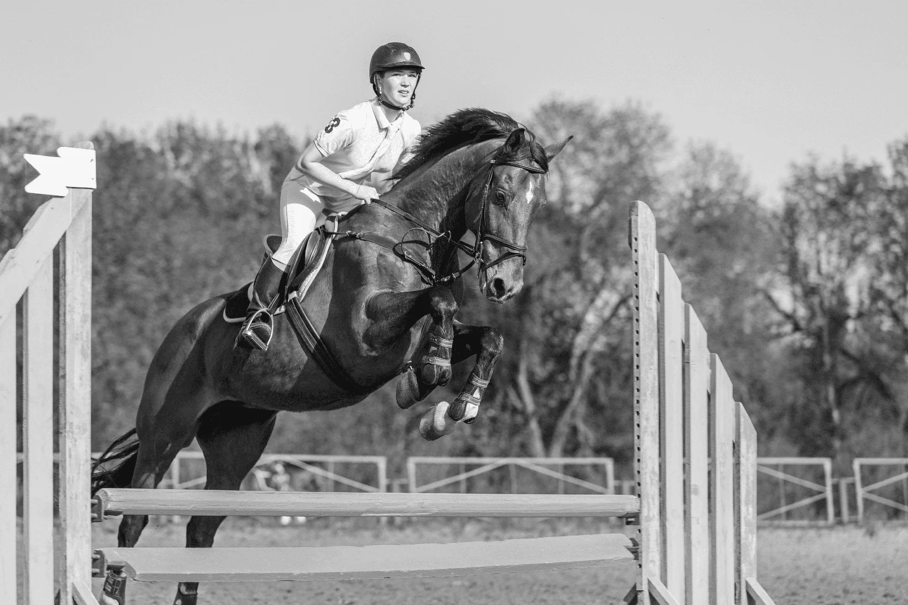 Jeune cavalière à cheval sautant par-dessus l'obstacle lors d'une compétition de saut d'obstacles